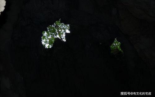 恐怖洞完整版在线观看,惊悚深渊,揭秘未知的恐惧之旅 第2张 恐怖洞完整版在线观看,惊悚深渊,揭秘未知的恐惧之旅 第2张